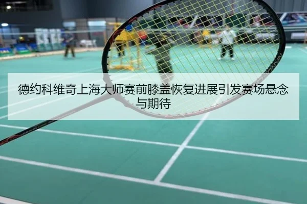 德约科维奇上海大师赛前膝盖恢复进展引发赛场悬念与期待